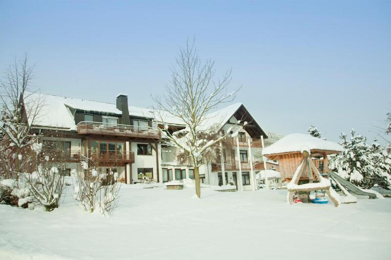 Haus Alexandra Inkl Meinecard Plus Willingen  Ngoại thất bức ảnh